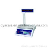 Electronic Price Computing Scale (DY-718-B)