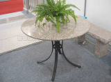 Stone Table with Iron Base (G664)