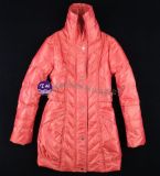 2010the Most Fashionable Women's Down Coat 