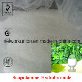 99% Scopolamine Hydrobromide (hyoscine hydrobromide) CAS: 114-49-8