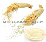 Ginsenosides, Ginseng Root Extract, Health Food, Anticancer, Anti-Aging