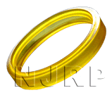 PU Sealing Ring -2