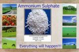 Ammonium Sulphate Nitrogen Fertilizer