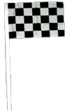 Antenna Flag (3)