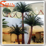 Hot Sale Indoor Decoration Fiberglass Artificial Palm Tree