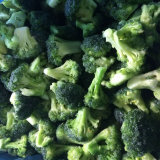 High Quality IQF Frozen Broccoli