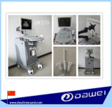 New Hospital Trolley Ultrasound Diagnostic Equipment (DW370)