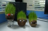 So Sweety Very Cute Guaranteed Quality Grass Doll