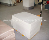 Single PE Coated Paper Cup / Paper Cup Base Paper