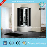 High Quality Complete Steam Massage Shower Room Witn CE (BLS-9824A)