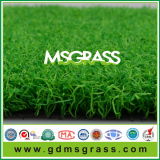 Hot High Quality Golf Sports Artificial Grass (JSQD-C12C26PG)