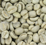 Natural Green Coffee Bean OEM Available