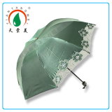Beautiful Sun Umbrella