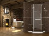 Best Luxury Stainless Steel Shower Room