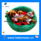 Bed Pet 2013, Pet Products, Watermelon Beds