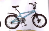 20 Inch Freestyle Bicycle (FRST-009)
