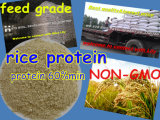 Rice Protein Meal for Feed Grade Protein 60
