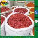 Spices Export Wholesale Red Hot Chili Pepper
