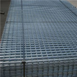 Electric Galvanized Welded Wire Mesh (AH-1123)