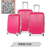 ABS Hard Case Travel Trolley Lugagge Bags