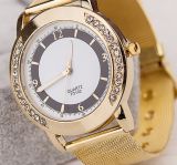 Fashion Quartz Wrist Watch (XM703202)