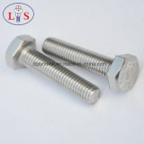 Stainless Steel Hexagon Head Bolt/Bolt with High Quality