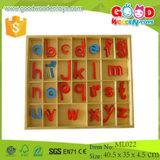 Montessori Language Materials Wooden Educational Small Movable Alphabet, Wood Toys