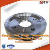 Helical Gear for Reducer