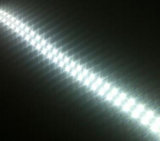 168LEDs/M Double Row DC24V SMD2835 LED Strip Lights
