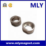 Sintered Permanent NdFeB Magnet Neodymium Magnetic Assembly (M059)