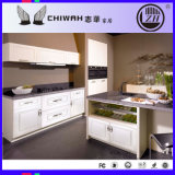 Classic European Style PVC Kitchen Furniture (FY082)
