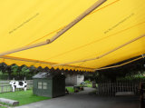 Popular Durabele Polyester Retractable Motor Awning (B3200)