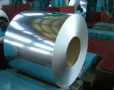 Hot Dipped Galvanized Steel Sheets in Coils