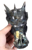 Natural Flash Labradorite Carved Dragon Skull Carving #5f25, Amazing Flash