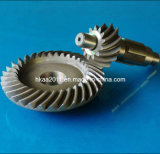 Precision Steel Helical Bevel Gear, Spiral Bevel Gears