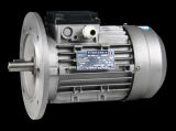 Ms Three Phase Electric Induction Motor