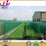 Agricultural Anti Insect Nets with High UV