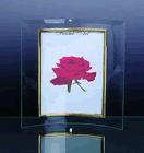 Curved Glass Photo Frame