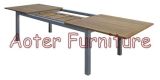 Folding Table (Y6021)