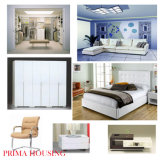 Modern Home Furniture Pr-F01