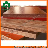Pine Plywood / Melamine Plywood (1220*2440)