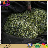 65GSM Warp Knitted HDPE Olive Net