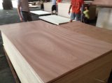 China Plywood with Cheap Price