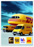 Efficient DHL/Courier Service/Express to USA