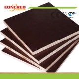 15mm 18mm Brown Film Faced Plywood
