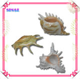 Resin Candle Holder, Decoration, Souvenir, Shell Fish