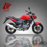 250cc Cbr300 Sport Moto Racing Bikes Motorcycle (KN250GS)