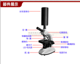 HD Display High Quality Medical Supply Biological Microscope