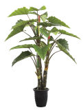 Yy-0002 Artificial Alocasia with Bub, Artificial Alocasia Plant, Decorative Plants for Living Room