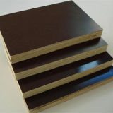 Shuttering Film Faced Plywood / Marine Plywood for Construction